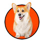 Maxine the Fluffy Corgi Image Thumbnail