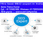 seo Expert logo