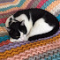 5mLvTSaVgxI-channel-avatar-Nati Crochet