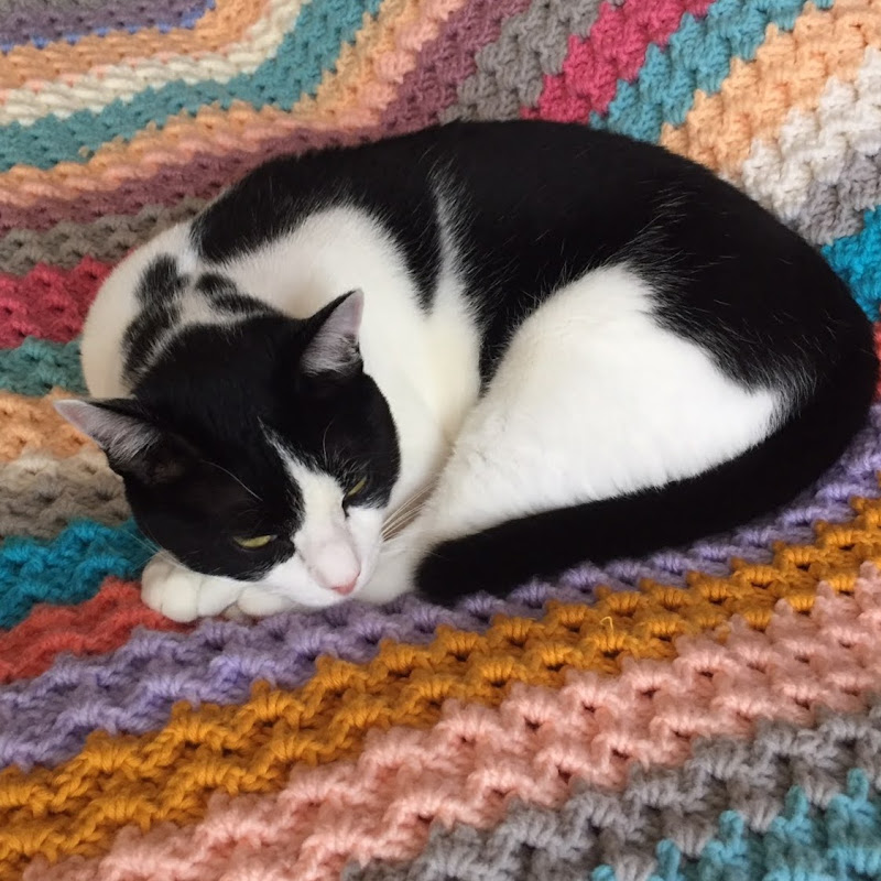 Nati Crochet icon