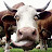@ikefitzpatrick3864 Avatar