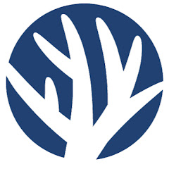 Coral Restoration Foundation