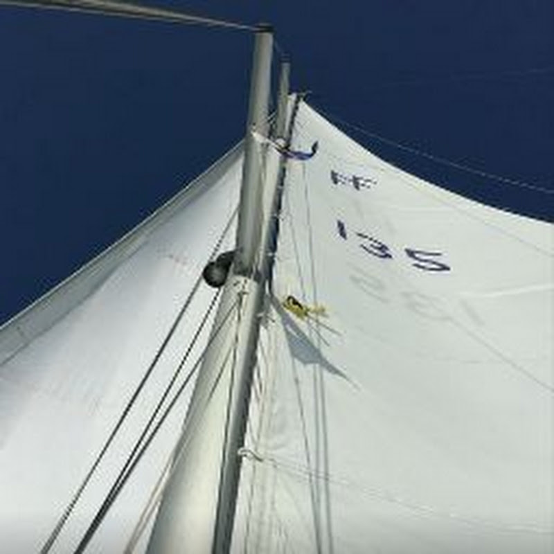ff-bi6dm