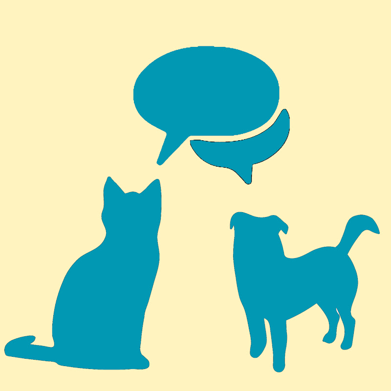 Pet Sitter Confessional