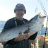 N2A15fIMR5M-channel-avatar-The Frugal Sportsman