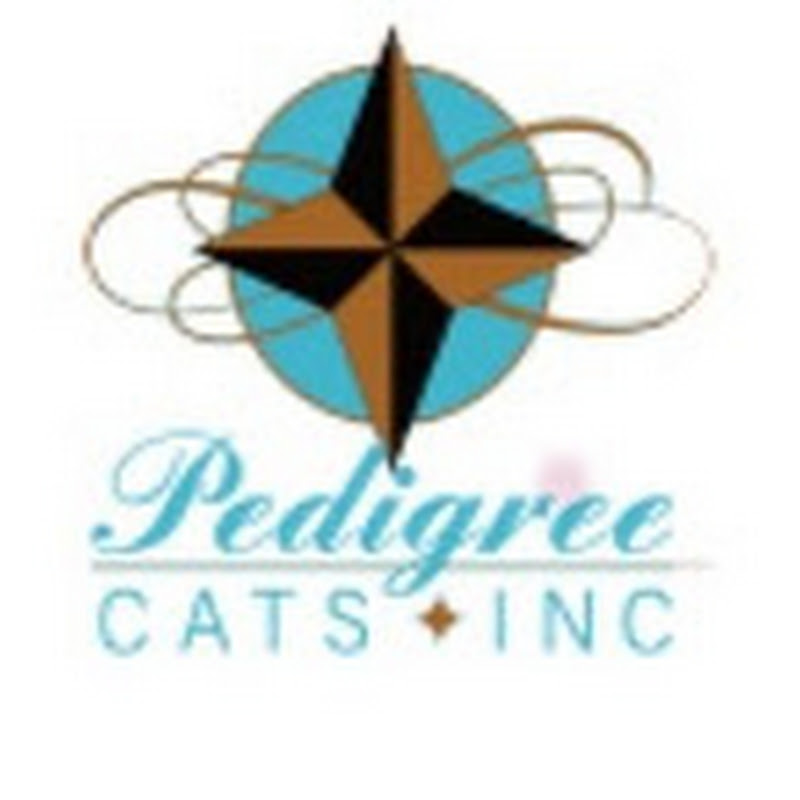 pedigreecatamarans