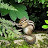 @user-tr3nz7hz6e