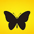 hSiCSiuPNE0-channel-avatar-Madame Butterfly