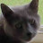 @glennr2010's avatar