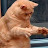 @TheCatalyst999's avatar