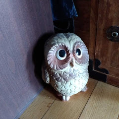 コスタリカフクロウチャンネルCostarica Fukurou Channelアイコン画像