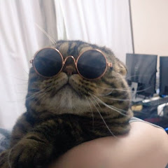 1号のりえ