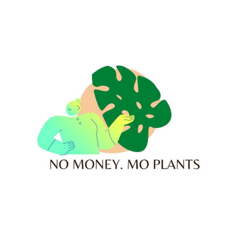 NOMONEY.MOPLANTS