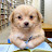 @짱버거1