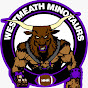 Westmeath Minotaurs American Football Club logo