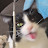 @bigchungus4427 Avatar