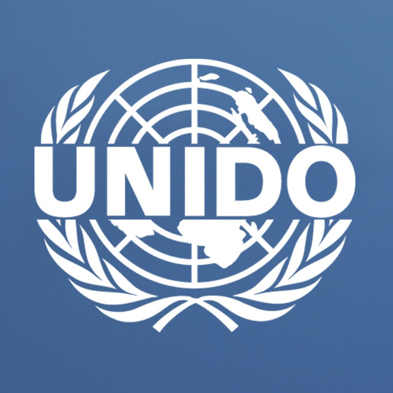 United Nations Industrial Development Organization (UNIDO) icon