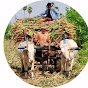 Bullock Cart Videos logo