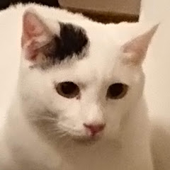 しょー