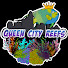 bRByJyUtAYU-channel-avatar-Queen City Reefs & More