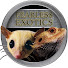 hZMWCcVvxEc-channel-avatar-Fearless Exotics