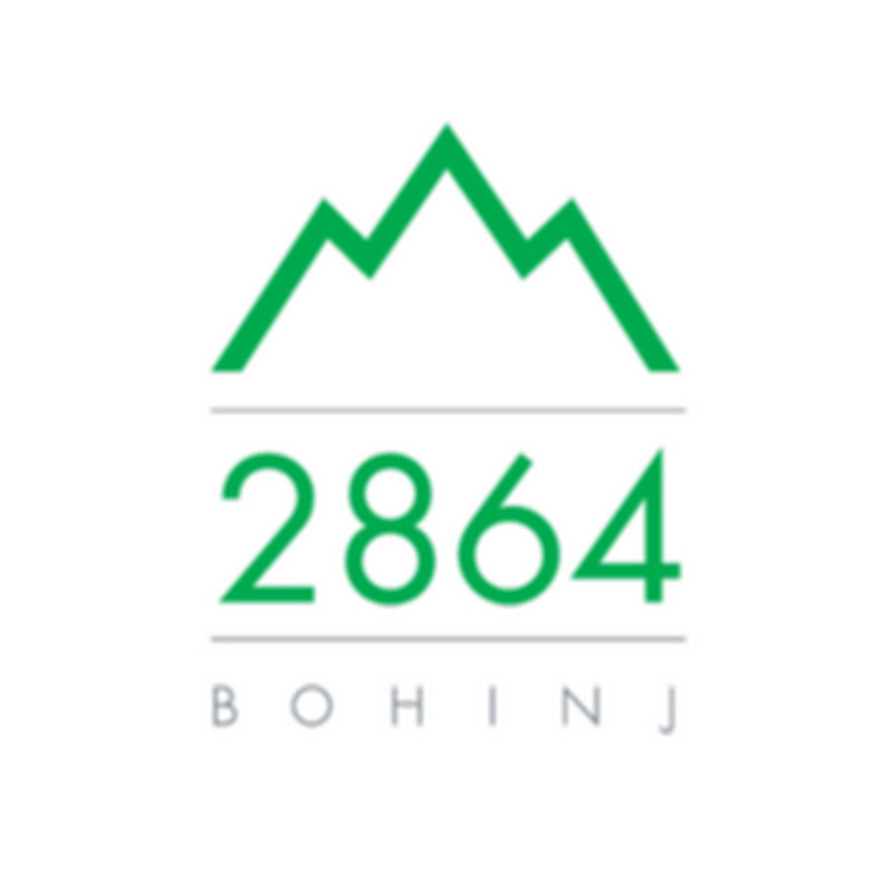 2864 Bohinj