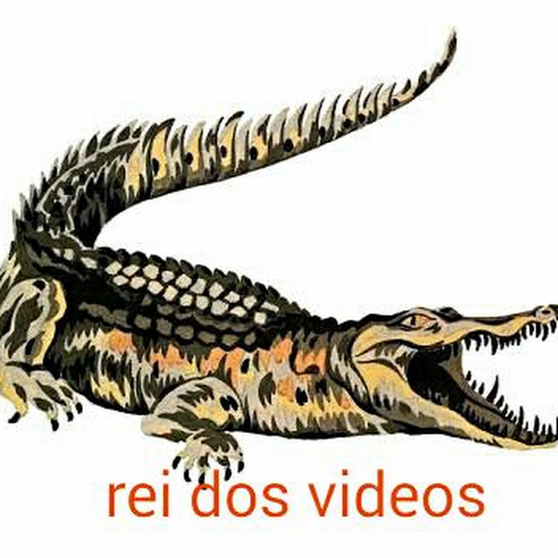 Rei dos videos Do youtube