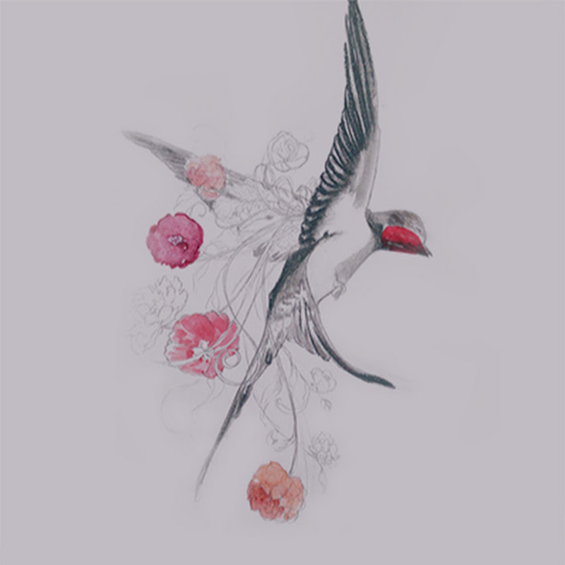 MigratoryBird