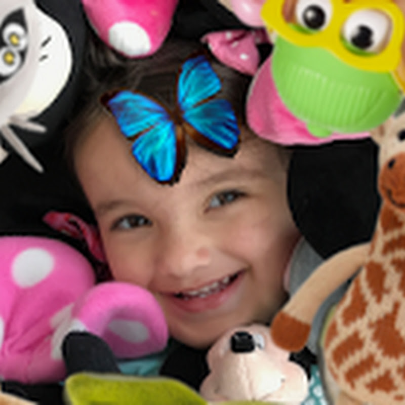 Whimsy Toy Review