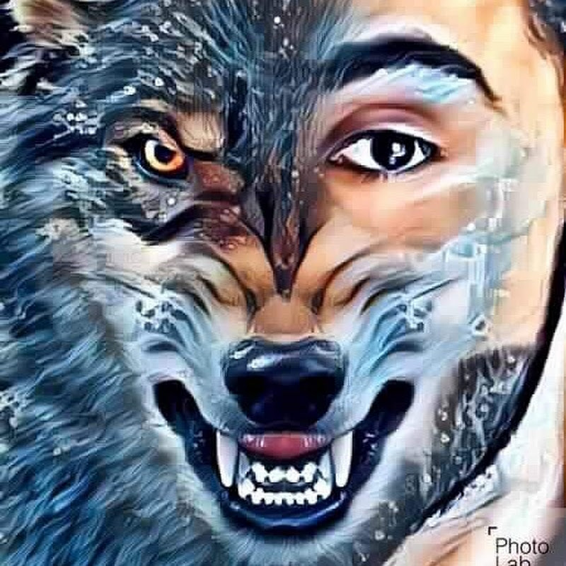 SilentWolfGaming icon
