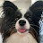 @alisonmorris5324's avatar