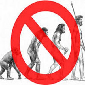 Disprovingevolution YouTube channel image