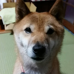 電denカタツムリ