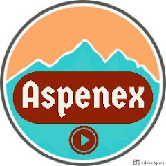 Aspenex Avatar