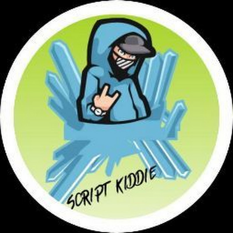 script kiddie