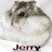 @Jerry-im3rn