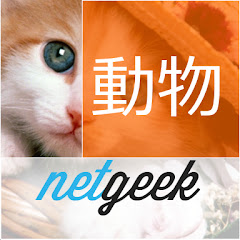 netgeek動物