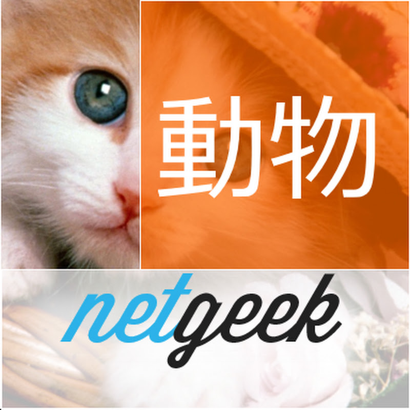 netgeek動物 YouTubeチャンネル画像