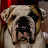 @emiloprita9771 Avatar