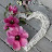 @user-zz7he4wq6t