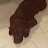 @gbear2087 Avatar