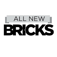 All New Bricks net worth