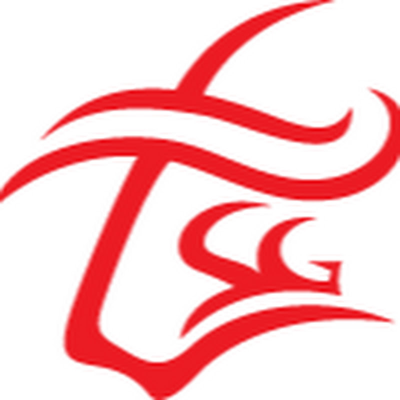 TSG Credit Solutions
