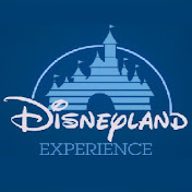 Disneyland Experience