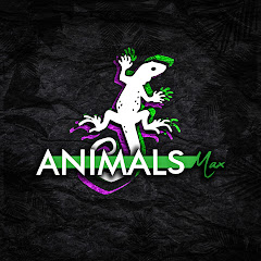 AnimalsMax Avatar