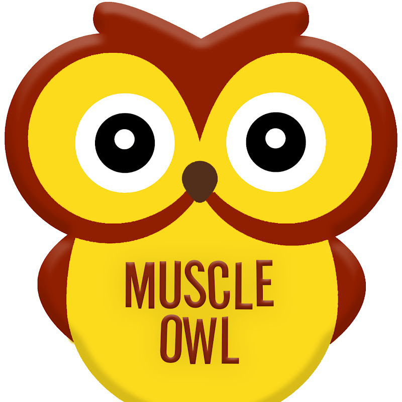 Muscle Owl