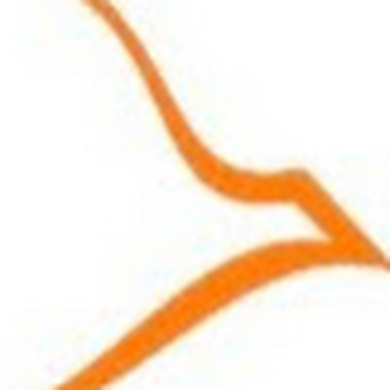 Peregrine Networks logo