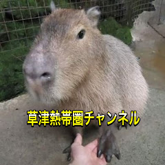 草津熱帯圏チャンネル