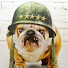 fydrnB6AhhQ-channel-avatar-ArmyofBulldogsProductions