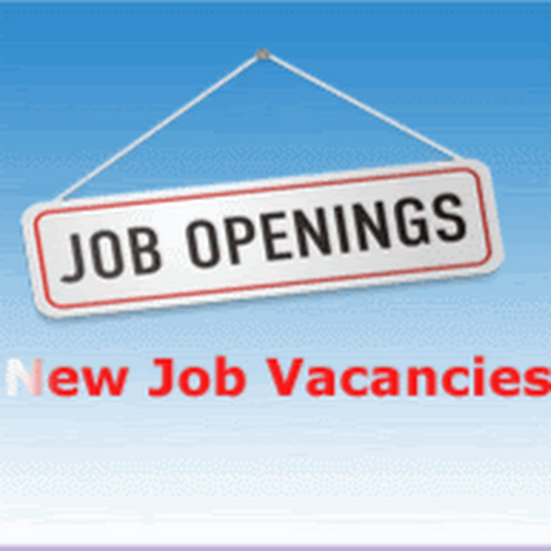 Jobs by shahzaib